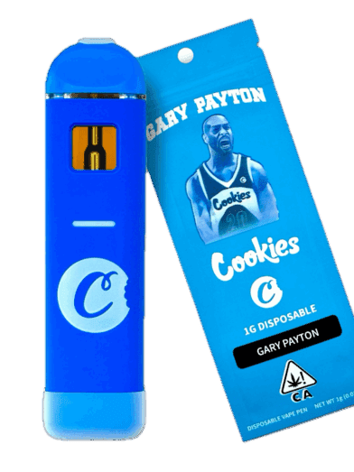 The 10/10 Boys Disposable THC Vape (1g) | Dispenseree