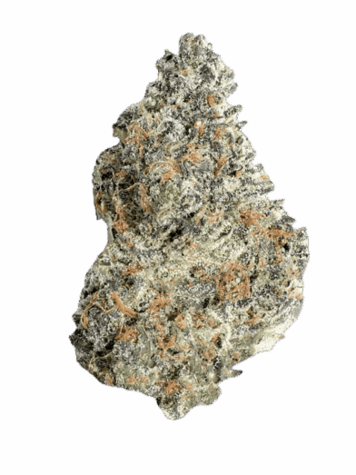 Northern Lights