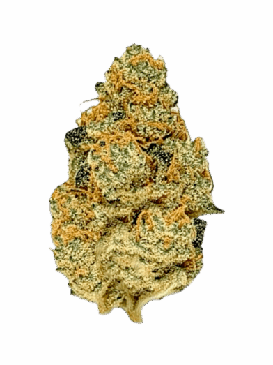 Stardawg